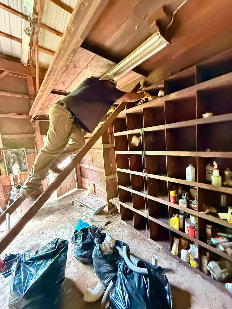 Clearing decades of stored bottles and hardware from original wooden shelving inside a barn during a cleanout near Colora, Maryland