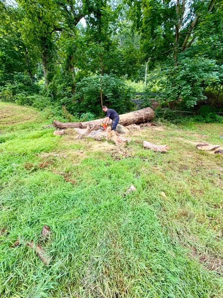A fallen tree being cut into sections on a cleared field during a 2.6-acre property cleanup near Colora in Cecil County, Maryland