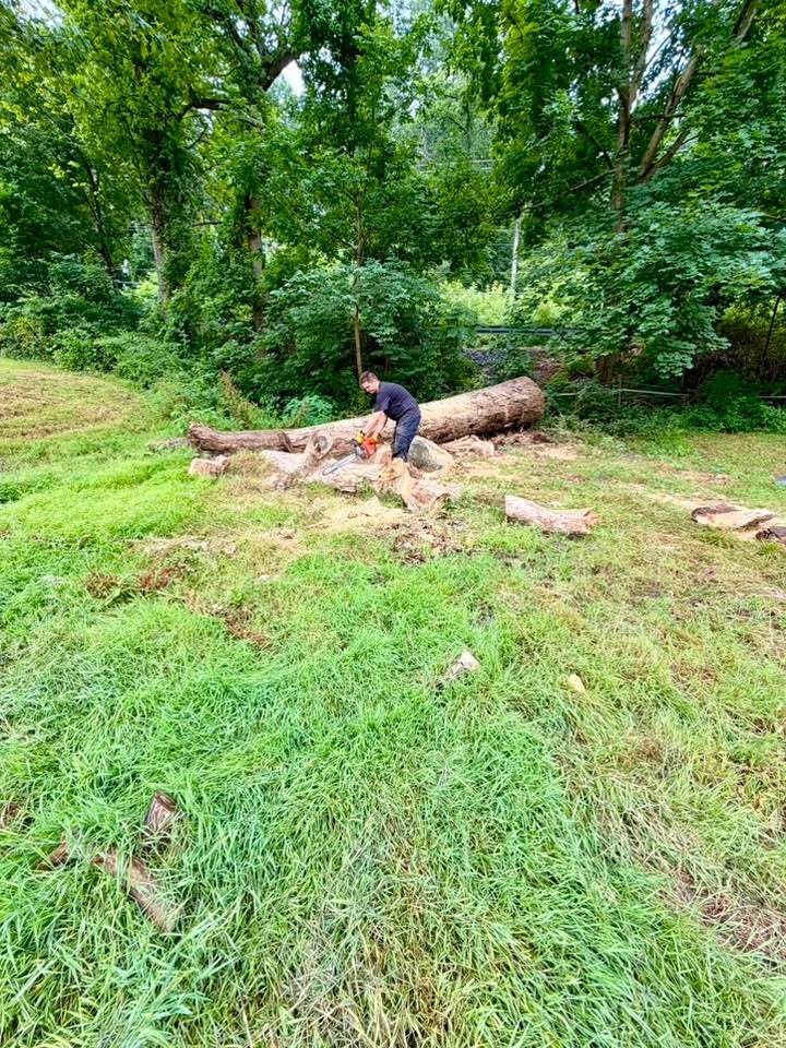 A fallen tree being cut into sections on a cleared field during a 2.6-acre property cleanup near Colora in Cecil County, Maryland