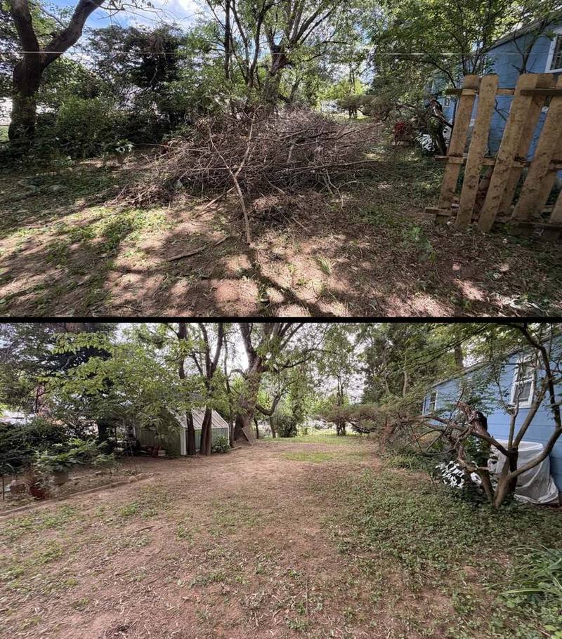 Before and after of a large brush and branch pile in a back yard in Elkton, Maryland, and the same yard cleared and open