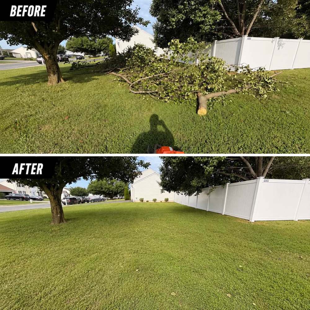 Before and after of a large storm-downed tree limb lying across a lawn beside a white vinyl fence in Perryville, Maryland, and the same lawn cleared